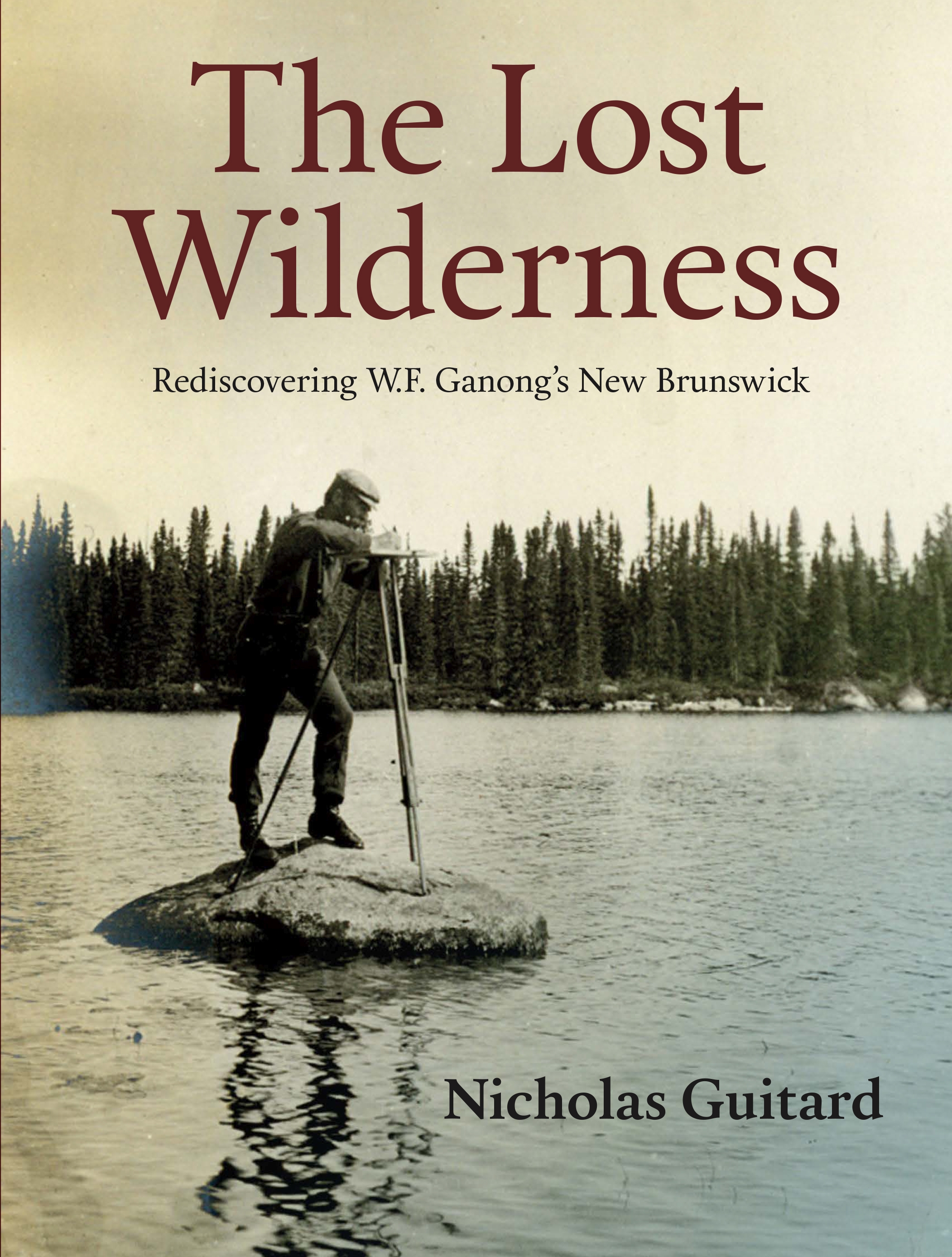 Title details for The Lost Wilderness by Nicholas Guitard - Available